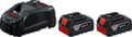 Bosch Akku Starter-Set: 2 x GBA 18 Volt, 5.0 Ah und GAL 1880 CV